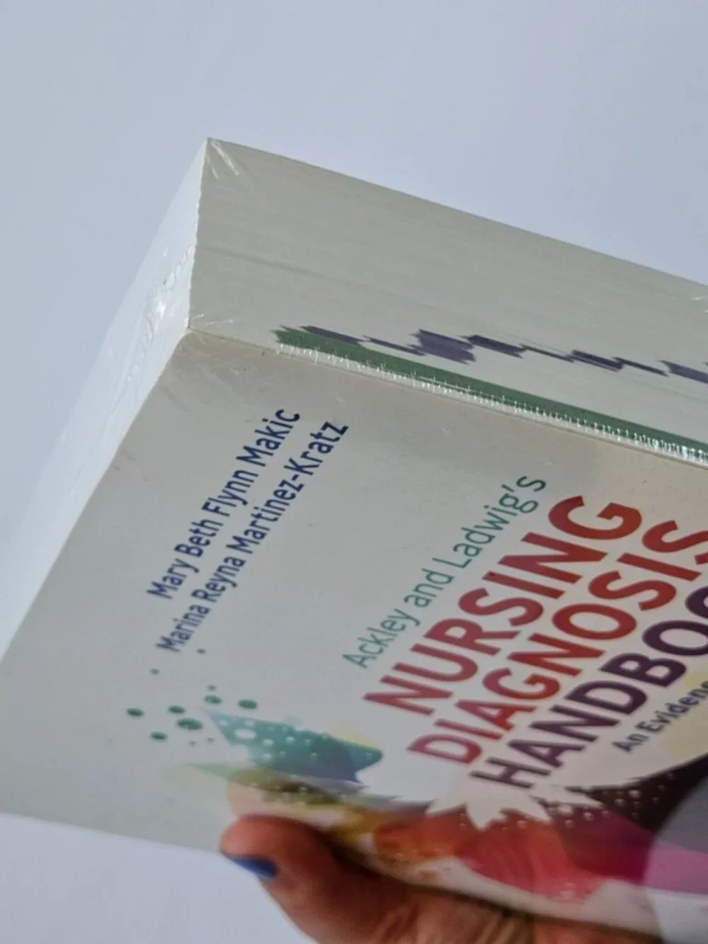 Ackley & Ladwigs Nursing Diagnosis Handbook 13th ed Evidence-Based 9780323776837